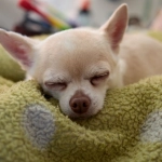 Программы лояльности казино без депозита - спорные моменты и факты