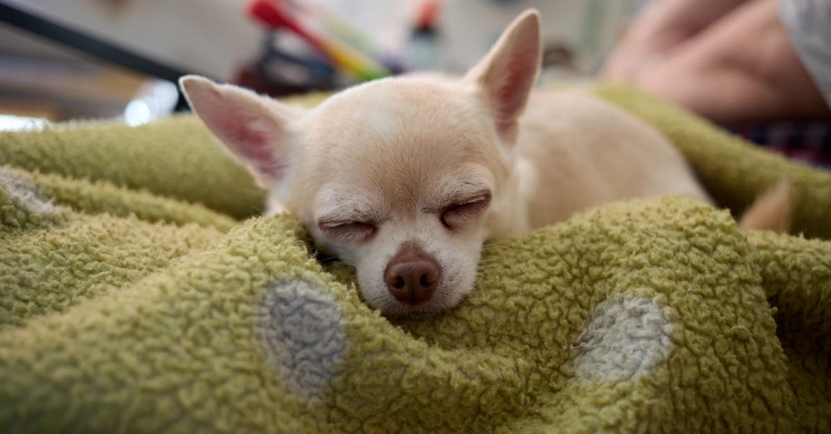 Программы лояльности казино без депозита - спорные моменты и факты